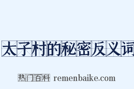 太子村的秘密反义词是什么意思的图片